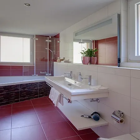 公寓 粉雪公寓 采尔马特